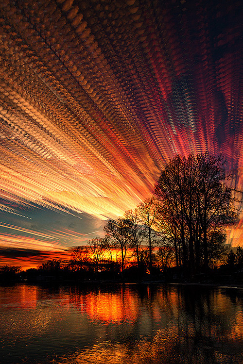 (1) Tumblr