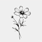 AI绘画_Prompts_Angie_Scott_minimalistic_black_line_wild_flower._ultra_realisti_9729436f-84a5-4c0f-98c8-8ae0e62940f4_xpanx.com