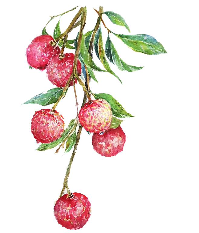 HTML素材网022-花瓣网