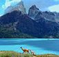 百內國家公園Torres del Paine National Park
世界的盡頭-智利