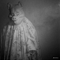 BBNG2 by BADBADNOTGOOD
http://www.xiami.com/album/510896?spm=a1z1s.3521865.23309997.3.nT6Jlj