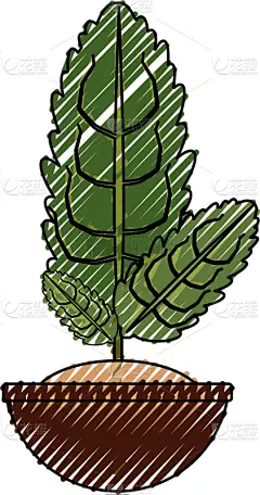 锅,植物群,分离着色,鸡尾酒,自然,华丽的,清新,房屋,叶子,装饰
