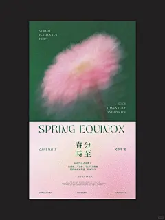 “ins风”极简春分节气新中式国潮平面海报 - 小红书