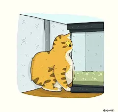 猫咪迷惑行为大赏！这40个猫咪的爆笑瞬间，每一张都是表情包哈哈哈哈 (28)