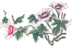 牵牛花 【酷图网】百花争艳,国画百花争艳,国画,花鸟画,花,水墨画,花朵,红花,手绘花朵,手绘花,水墨画花,抽象花,工笔画,月季,牡丹,水墨荷花,