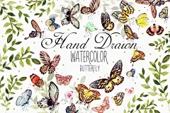 手绘水彩美丽蝴蝶自然植物叶子图案插图PNG免抠设计素材 Beautiful Watercolor Butterflies - 南岸设计网 nananps.com