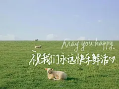 自律励志壁纸分享|IPad壁纸 - 小红书