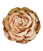 Take a look at this Pink Wool Multi Blooms Rug by Nourison on #zulily today!: 