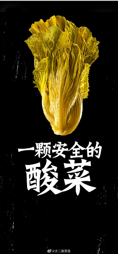 CountAngel采集到厨房果蔬食物元素