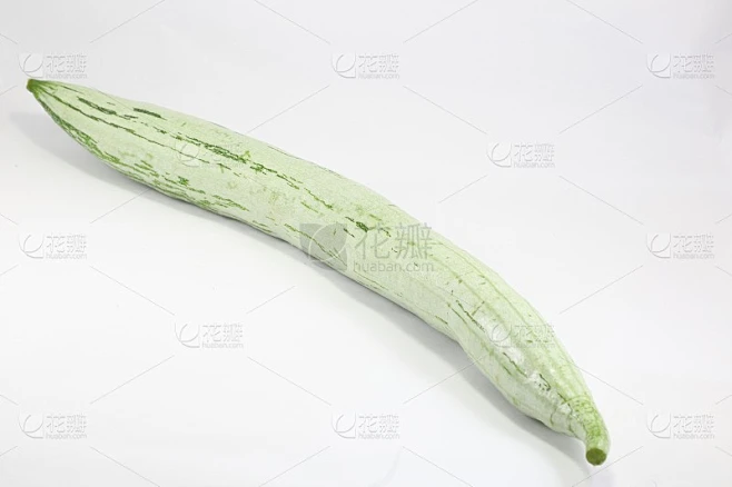 丝瓜