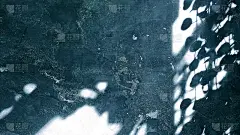 阳光和树叶的阴影在深蓝色的抹灰混凝土墙壁上的背景，自然和质朴的概念。在蓝色的混凝土墙上，树枝和树叶的