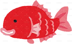 鲷鱼手绘卡通插画手绘png儿童插画免扣素材