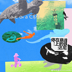 智疯采集到海报