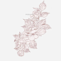 手绘植物花草手绘两朵花线稿图片大小2000x2000px 图片尺寸1.06 MB 来自PNG搜索网 pngss.com 免费免扣png素材下载！花草#花草树木#花朵#花朵线稿#花卉#卡通手绘#手绘风格#手绘花#手绘花卉#手绘植物#线稿植物#叶子#植物#