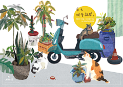 Arezzo采集到插画素材