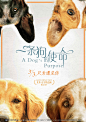 一条狗的使命
A Dog's Purpose