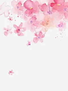手绘粉色樱花插画