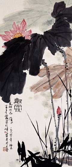 小沫ル采集到♔_夏荷之美