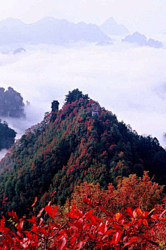 忆薇景深采集到风景