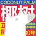YINLONG-