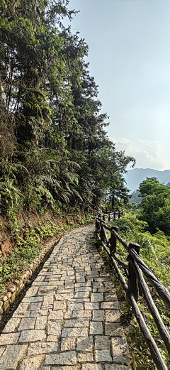 ~^o^~茳笾鳥采集到栈道
