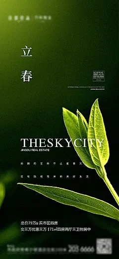 【仙图网】海报 地产  二十四节气  立春   树芽  叶子|986043 