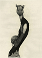 布鲁克林的插画师lu ke。
