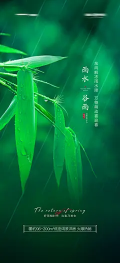 谷雨简约大气唯美节气插画节日宣传海报