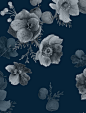 Banquet Florals : Dark, pencil rendered floral for F/W inspired by classic Dutch paintings. Created to utilize the benefits of digital printing.