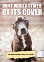 DON’T JUDGE A STAFFIE BY ITS COVER | All Dogs Matter