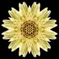 Fifty-Two Flower Mandalas : A book-length collection of mandala images created from flower photos matched with meditative quotes and short essays. Like Carl Jung, I see mandalas as a pathway to the essential Self and use them as a means to personal transf