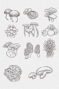手绘蘑菇素材蘑菇线稿