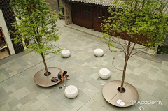 Wendy0411采集到树池