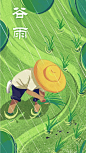 @罗维
谷雨至，插秧时
