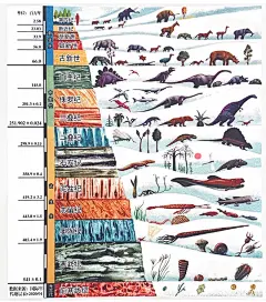 生态人文发现｜远安地质及化石——远古的秘密 - 生态文化 - 远安县生态治理网 沮河国家湿地公园