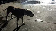 起床喜洋洋