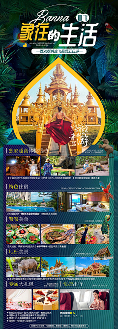 追梦amp;糖果采集到海报背景