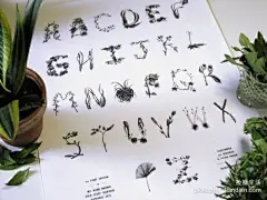 植物字体

 
 
 
纽约的插画艺术家Sasha Prood，将大自然的完美艺术品植物，带入到了的他绘画作品中，这些原本漂亮的植物被挨个手绘下来，并根据植物自有的形态与字母完美的结合在一起，让自然与字体艺术呈现出了一种复古的艺术形态。

(7张)