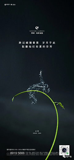 王骉采集到节气—谷雨