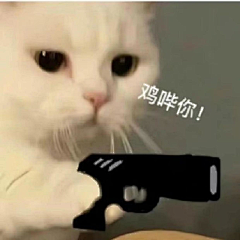 卷帘望月采集到表情包