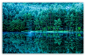 Japan Pond Forest