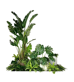 sue_简语采集到花花绿绿