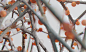 d1dc98104769567.5f6a566244860