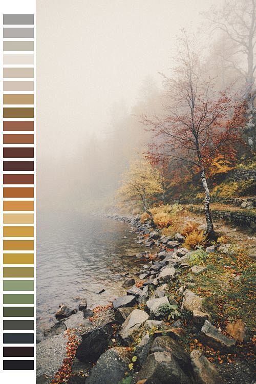 自然的色彩。
