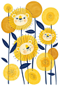 Lion or dandelion illustration