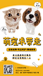宠物服务店铺营销实景竖版海报