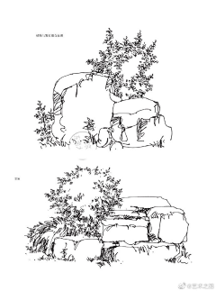 米子亭采集到手绘植物