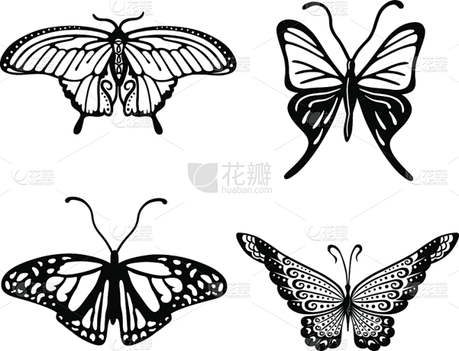 品牌名称,黑色,白蝴蝶,分离着色,自然,...