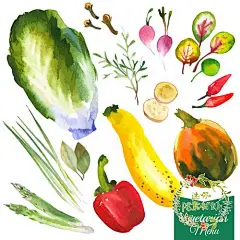 114水彩手绘绿叶果蔬鱼肉藕芝士食物料理烹饪材料eps矢量设计素材-淘宝网