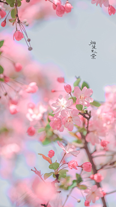 安莫安安采集到喜欢的绘画花